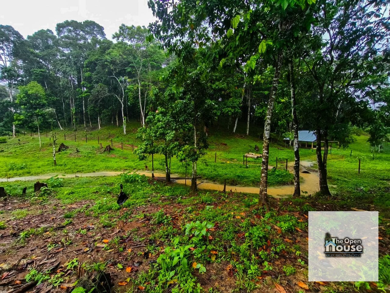 Finca en Venta – Candelaria Yalicar, San Pedro Carchá | Alta Verapaz — Terreno en Venta en San Pedro Carchá, Alta Verapaz — foto 12 de 13