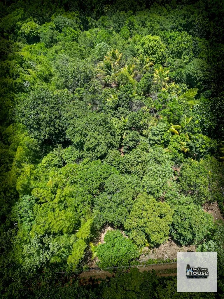 4.5 manzanas en venta Caserio El Silencio Escuintla — Finca en Venta en San Vicente Pacaya, Escuintla — foto 5 de 13