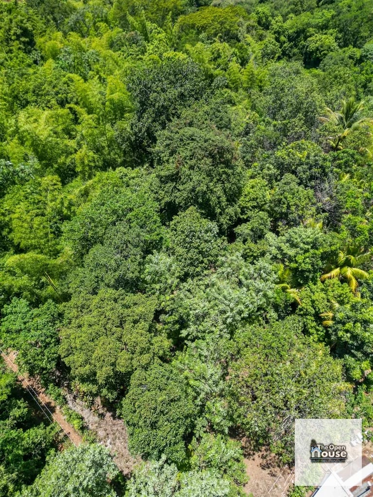 4.5 manzanas en venta Caserio El Silencio Escuintla — Finca en Venta en San Vicente Pacaya, Escuintla — foto 3 de 13