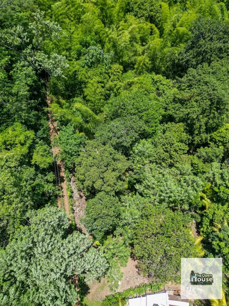 4.5 manzanas en venta Caserio El Silencio Escuintla — Finca en Venta en San Vicente Pacaya, Escuintla — foto 4 de 13