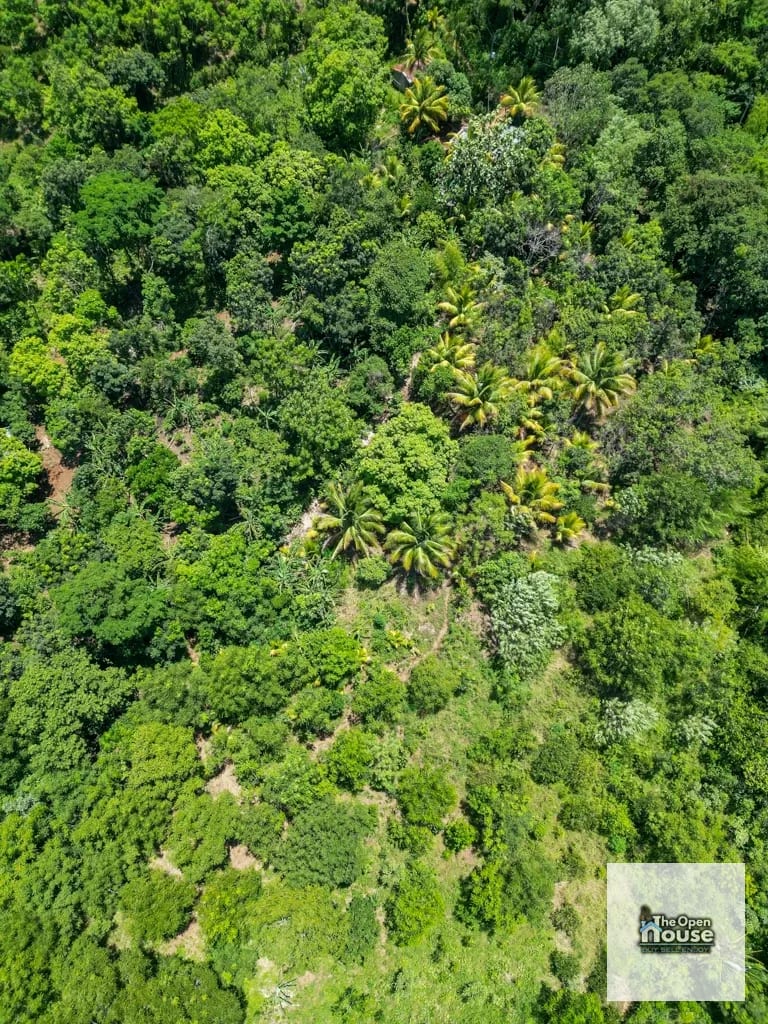 4.5 manzanas en venta Caserio El Silencio Escuintla — Finca en Venta en San Vicente Pacaya, Escuintla — foto 6 de 13
