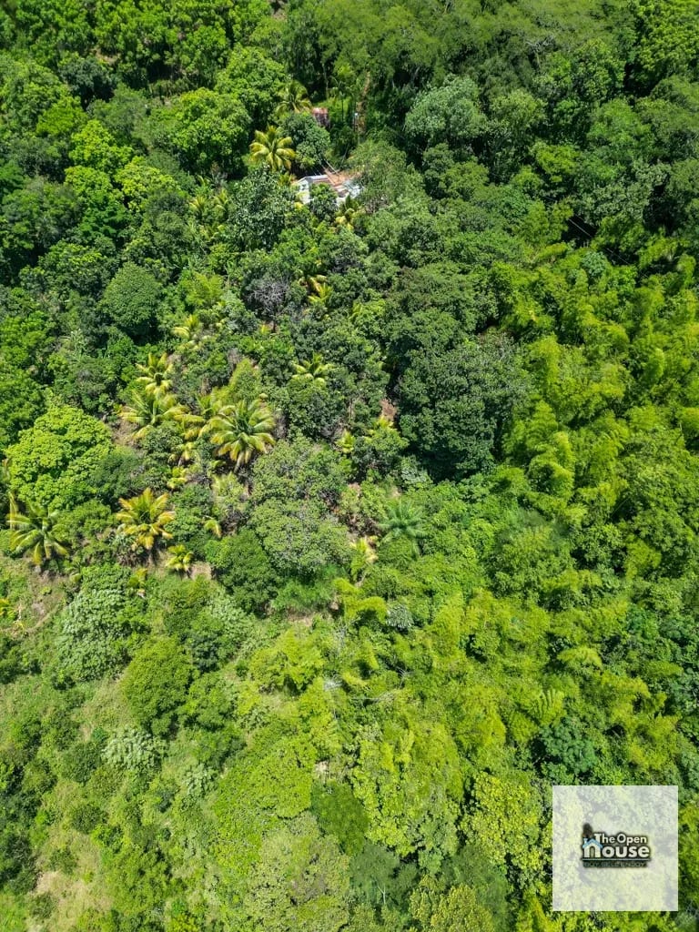4.5 manzanas en venta Caserio El Silencio Escuintla — Finca en Venta en San Vicente Pacaya, Escuintla — foto 7 de 13