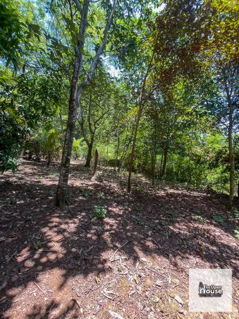 4.5 manzanas en venta Caserio El Silencio Escuintla — Finca en Venta en San Vicente Pacaya, Escuintla — foto 8 de 13