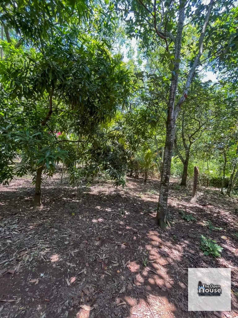 4.5 manzanas en venta Caserio El Silencio Escuintla — Finca en Venta en San Vicente Pacaya, Escuintla — foto 9 de 13