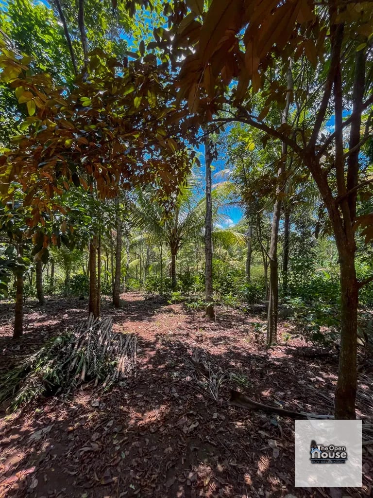4.5 manzanas en venta Caserio El Silencio Escuintla — Finca en Venta en San Vicente Pacaya, Escuintla — foto 10 de 13