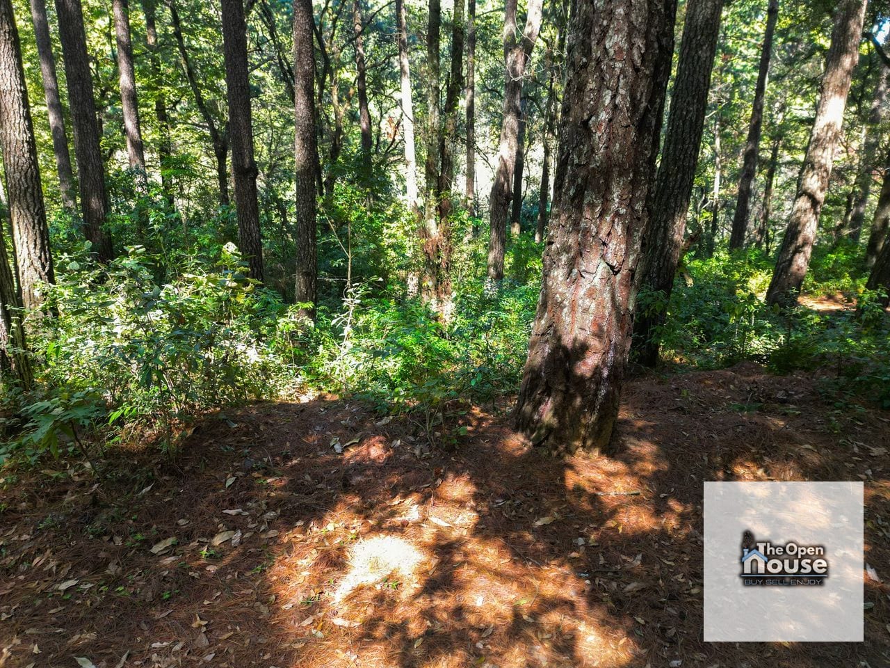 Labor de Castilla 1 zona 09 de Mixco Terreno En Venta — Terreno en Venta en Zona 9 Mixco, Guatemala, Ciudad — foto 13 de 17