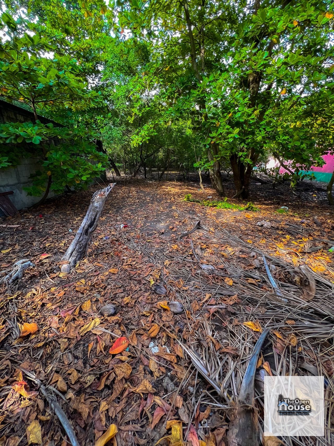 Terreno en Venta en Puerto San José - Escuintla — Terreno en Venta en Puerto San José, Escuintla — foto 9 de 17