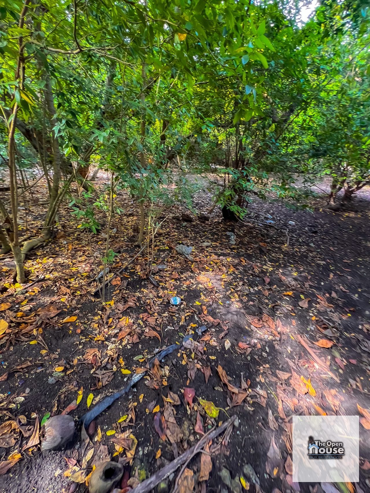 Terreno en Venta en Puerto San José - Escuintla — Terreno en Venta en Puerto San José, Escuintla — foto 11 de 17