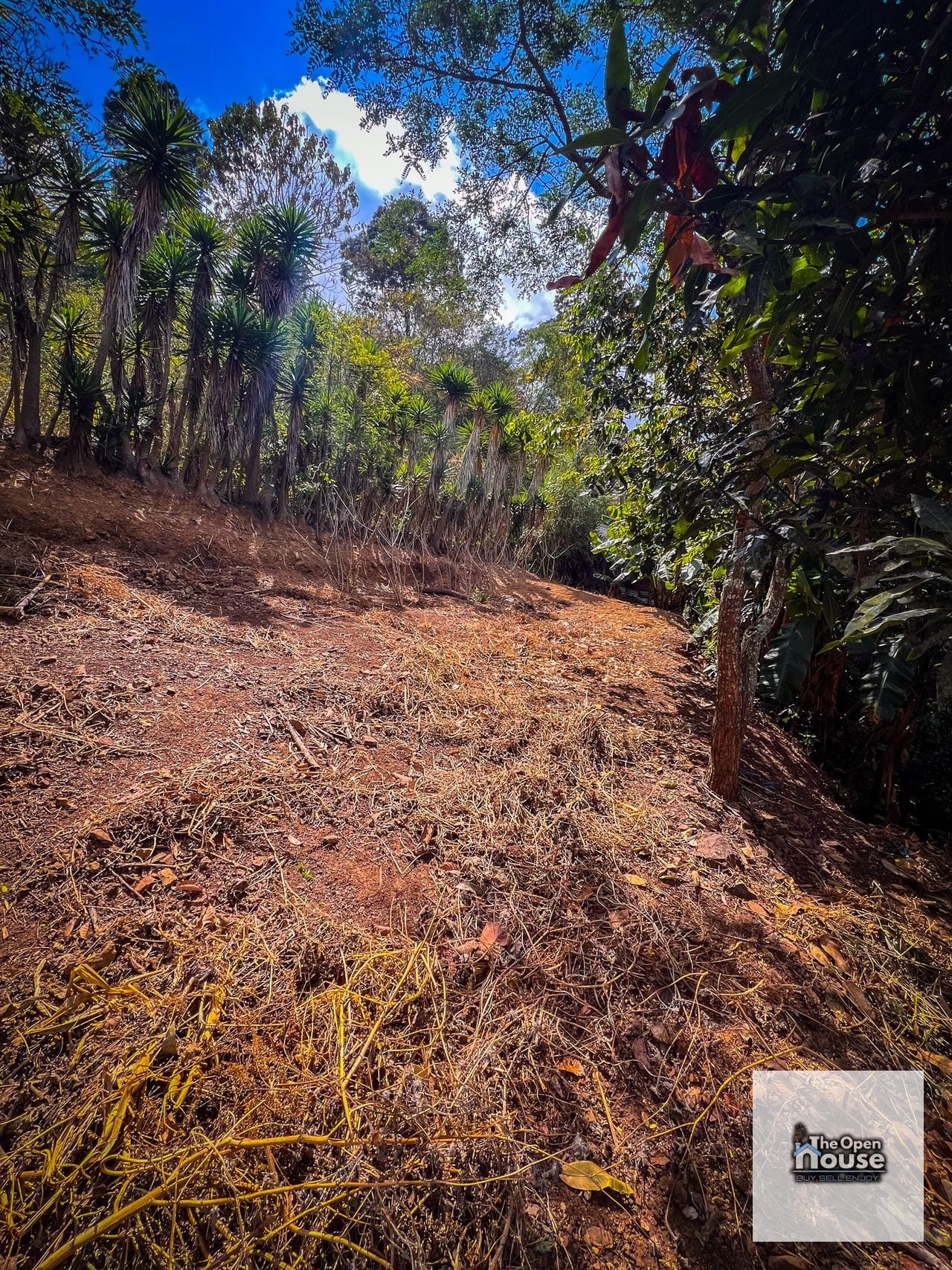 Granja Cumbre el Guayabo Chinautla — Terreno en Venta en Chinautla, Guatemala, Ciudad — foto 9 de 17