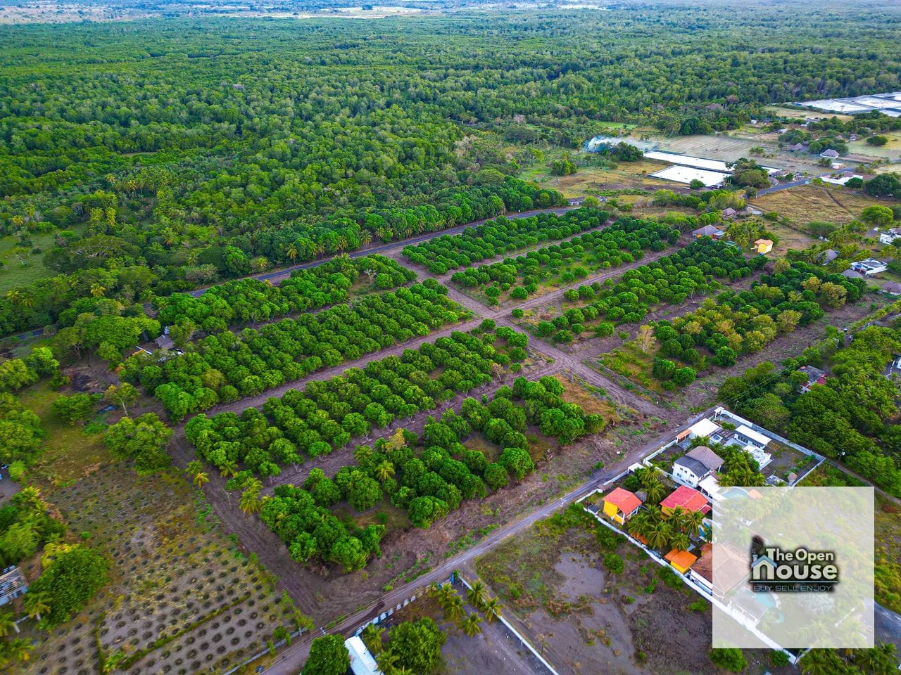 Terrenos en Venta - Playa Negra Monterrico — Terreno en Venta en Monterrico, Santa Rosa — foto 6 de 17