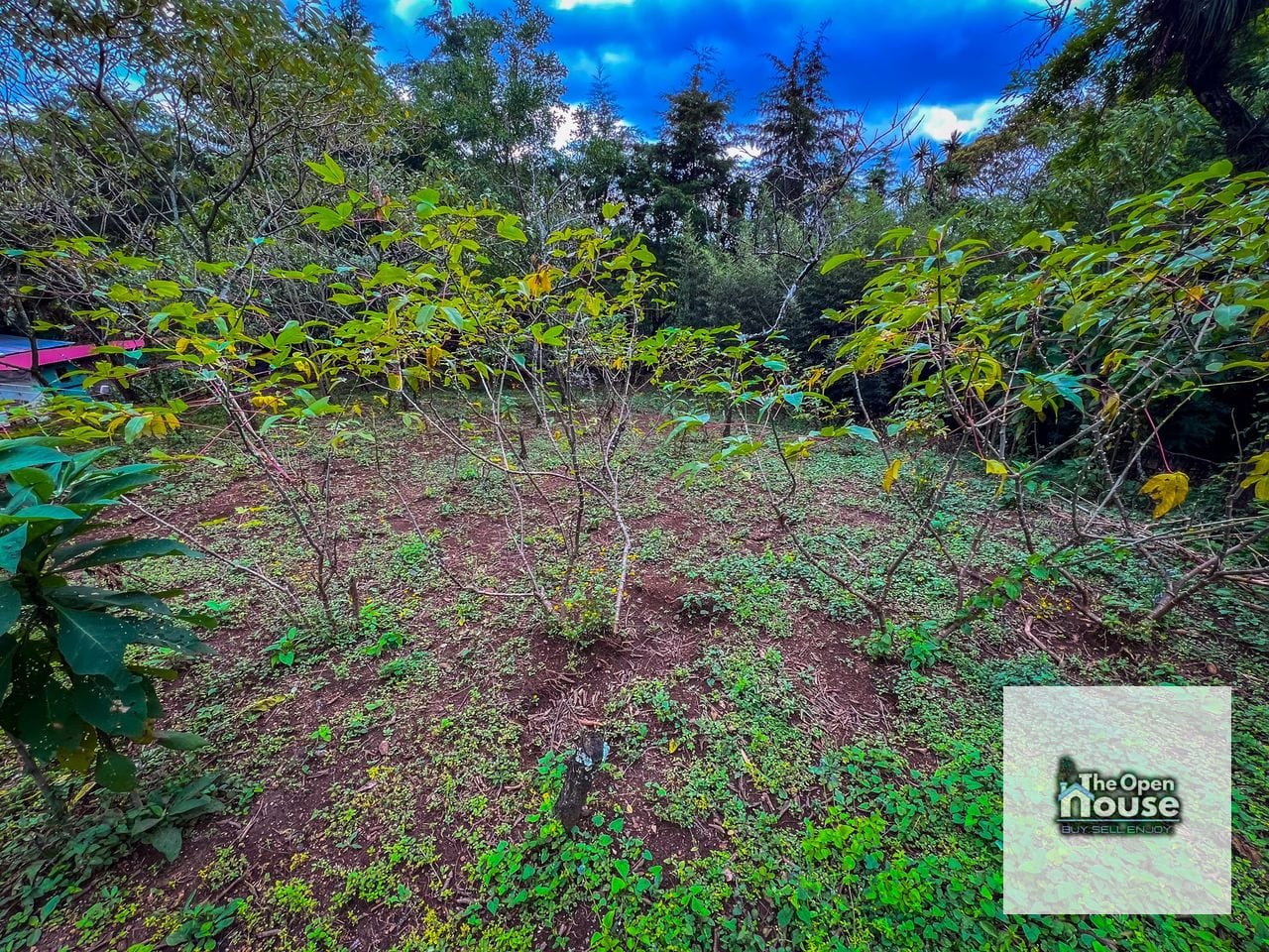 Terreno en Venta - Monte Bello 2 Fraijanes — Terreno en Venta en Carretera a El Salvador, Guatemala, Ciudad — foto 13 de 15