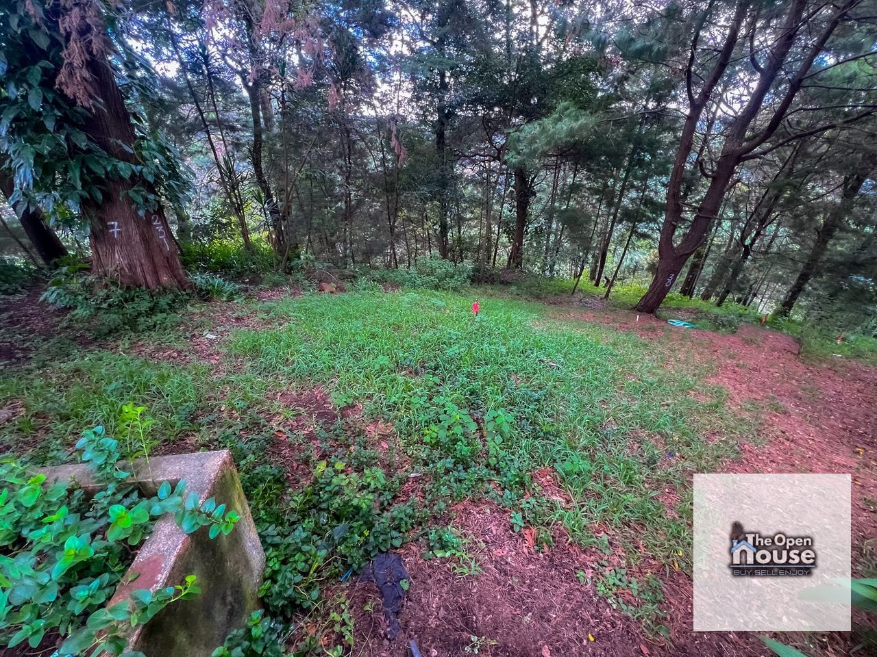 Terrenos Rústicos en Venta - Fraijanes — Terreno en Venta en Carretera a El Salvador, Guatemala, Ciudad — foto 3 de 11