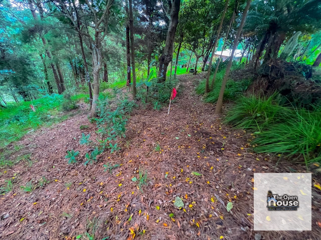 Terrenos Rústicos en Venta - Fraijanes — Terreno en Venta en Carretera a El Salvador, Guatemala, Ciudad — foto 5 de 11