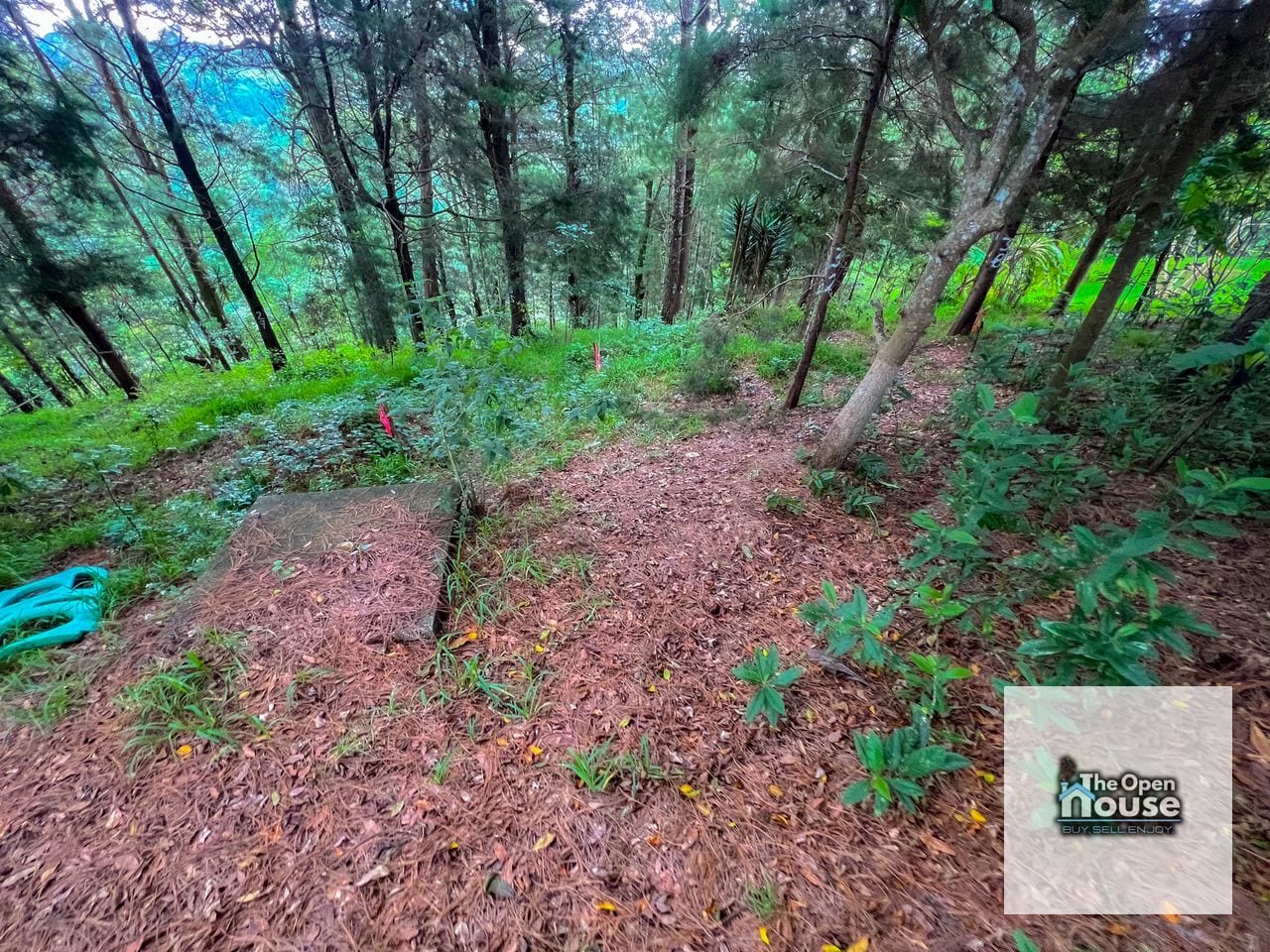 Terrenos Rústicos en Venta - Fraijanes — Terreno en Venta en Carretera a El Salvador, Guatemala, Ciudad — foto 6 de 11