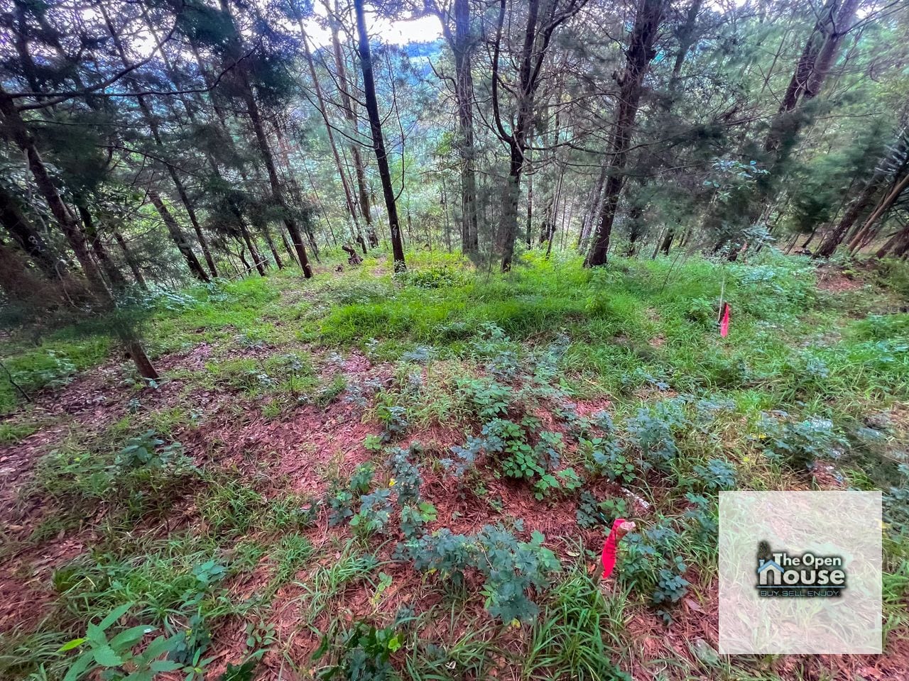 Terrenos Rústicos en Venta - Fraijanes — Terreno en Venta en Carretera a El Salvador, Guatemala, Ciudad — foto 7 de 11
