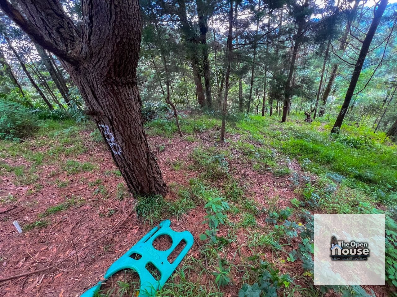 Terrenos Rústicos en Venta - Fraijanes — Terreno en Venta en Carretera a El Salvador, Guatemala, Ciudad — foto 8 de 11