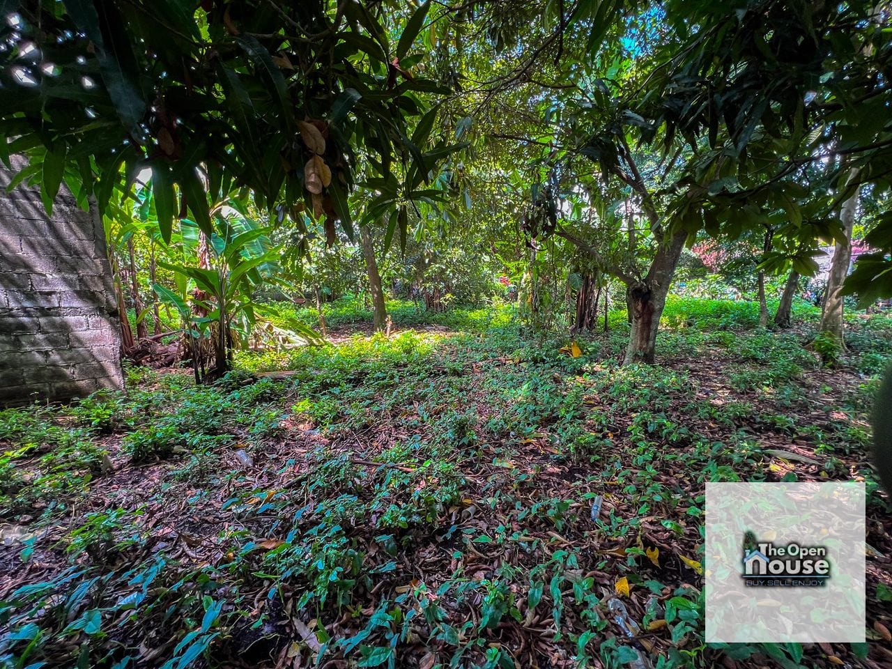 terreno en Venta - Mazatenango, Suchitepéquez barrio La Unión zona 02 — Terreno en Venta en Mazatenango, Suchitepéquez — foto 11 de 17