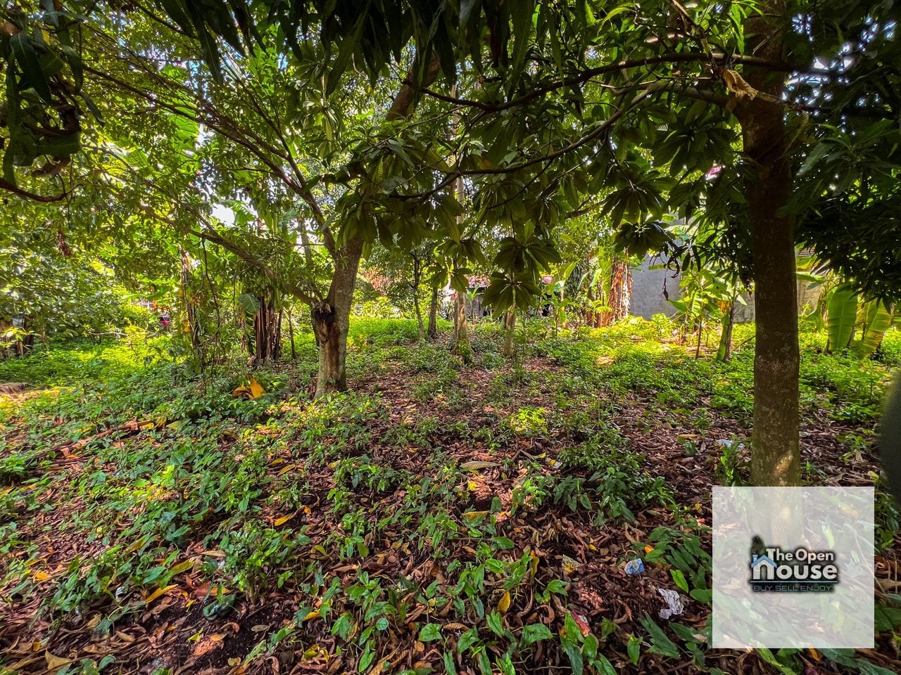 terreno en Venta - Mazatenango, Suchitepéquez barrio La Unión zona 02 — Terreno en Venta en Mazatenango, Suchitepéquez — foto 12 de 17