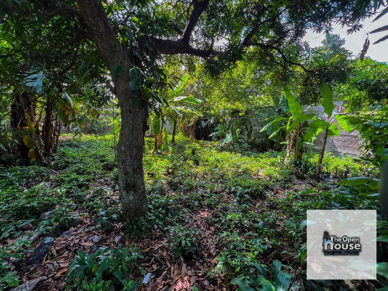 terreno en Venta - Mazatenango, Suchitepéquez barrio La Unión zona 02 — Terreno en Venta en Mazatenango, Suchitepéquez — foto 13 de 17