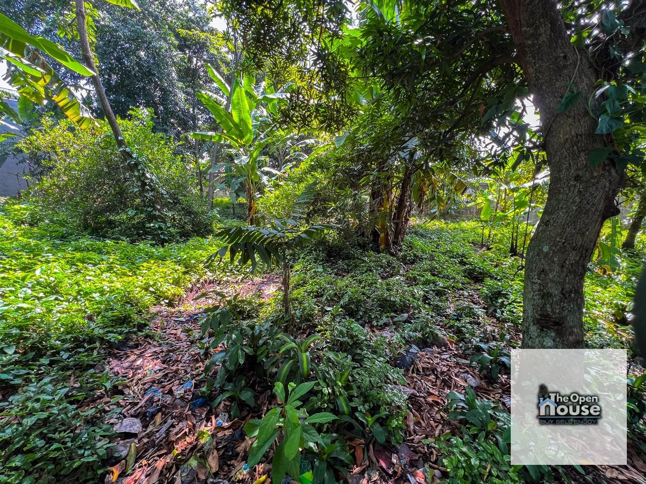 terreno en Venta - Mazatenango, Suchitepéquez barrio La Unión zona 02 — Terreno en Venta en Mazatenango, Suchitepéquez — foto 14 de 17