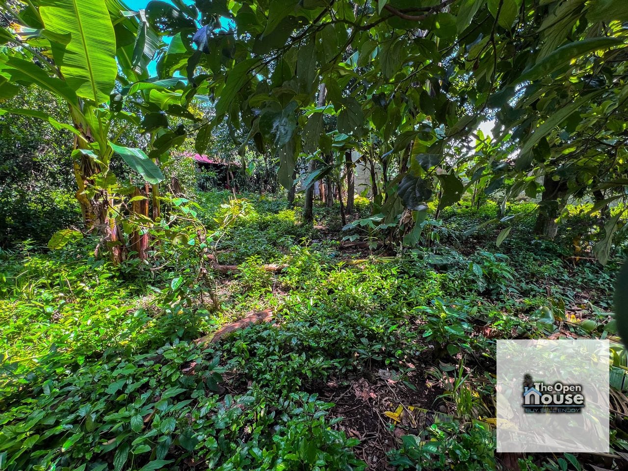 terreno en Venta - Mazatenango, Suchitepéquez barrio La Unión zona 02 — Terreno en Venta en Mazatenango, Suchitepéquez — foto 16 de 17