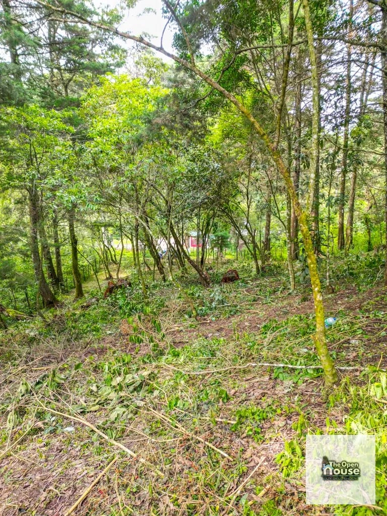 Terreno en Venta – El Platanar, San José Pinula — Terreno en Venta en San José Pinula, Guatemala, Ciudad — foto 2 de 15