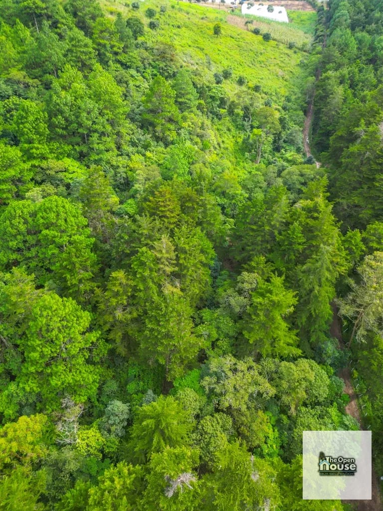 Terreno en Venta – El Platanar, San José Pinula — Terreno en Venta en San José Pinula, Guatemala, Ciudad — foto 4 de 15