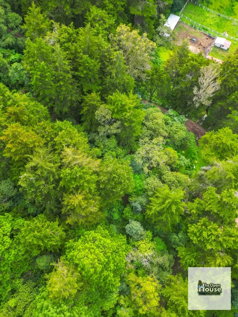 Terreno en Venta – El Platanar, San José Pinula — Terreno en Venta en San José Pinula, Guatemala, Ciudad — foto 5 de 15