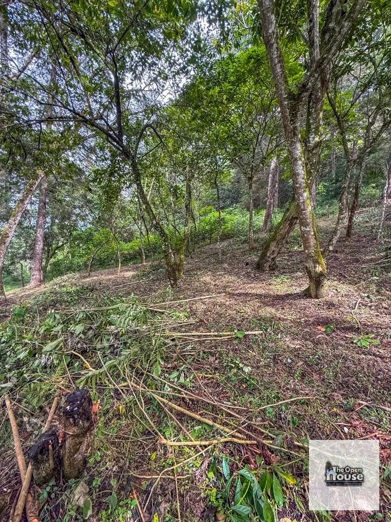 Terreno en Venta – El Platanar, San José Pinula — Terreno en Venta en San José Pinula, Guatemala, Ciudad — foto 7 de 15