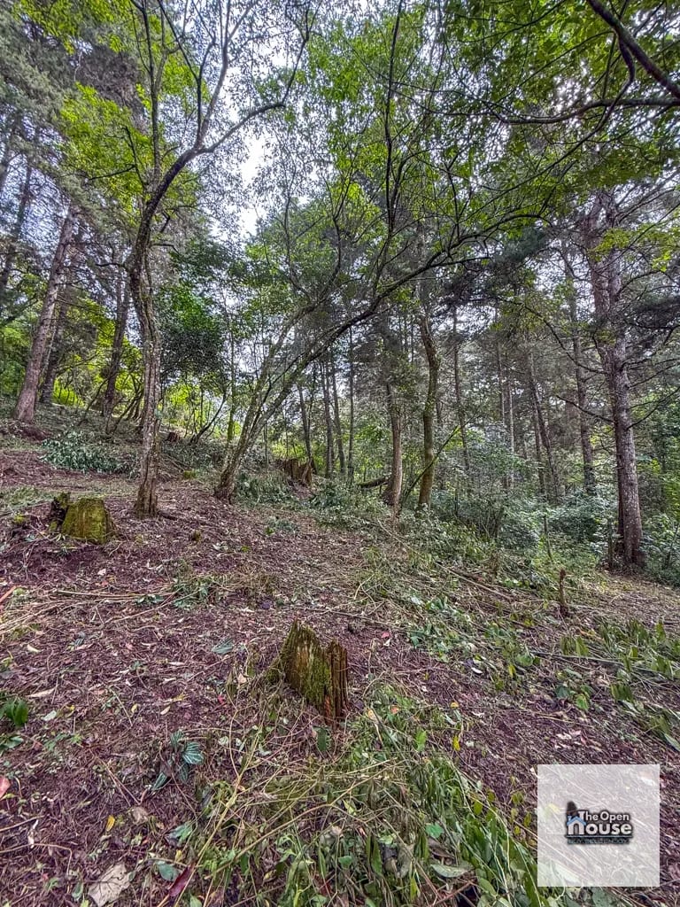 Terreno en Venta – El Platanar, San José Pinula — Terreno en Venta en San José Pinula, Guatemala, Ciudad — foto 9 de 15