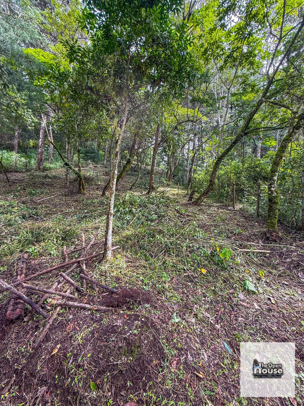 Terreno en Venta – El Platanar, San José Pinula — Terreno en Venta en San José Pinula, Guatemala, Ciudad — foto 5 de 15