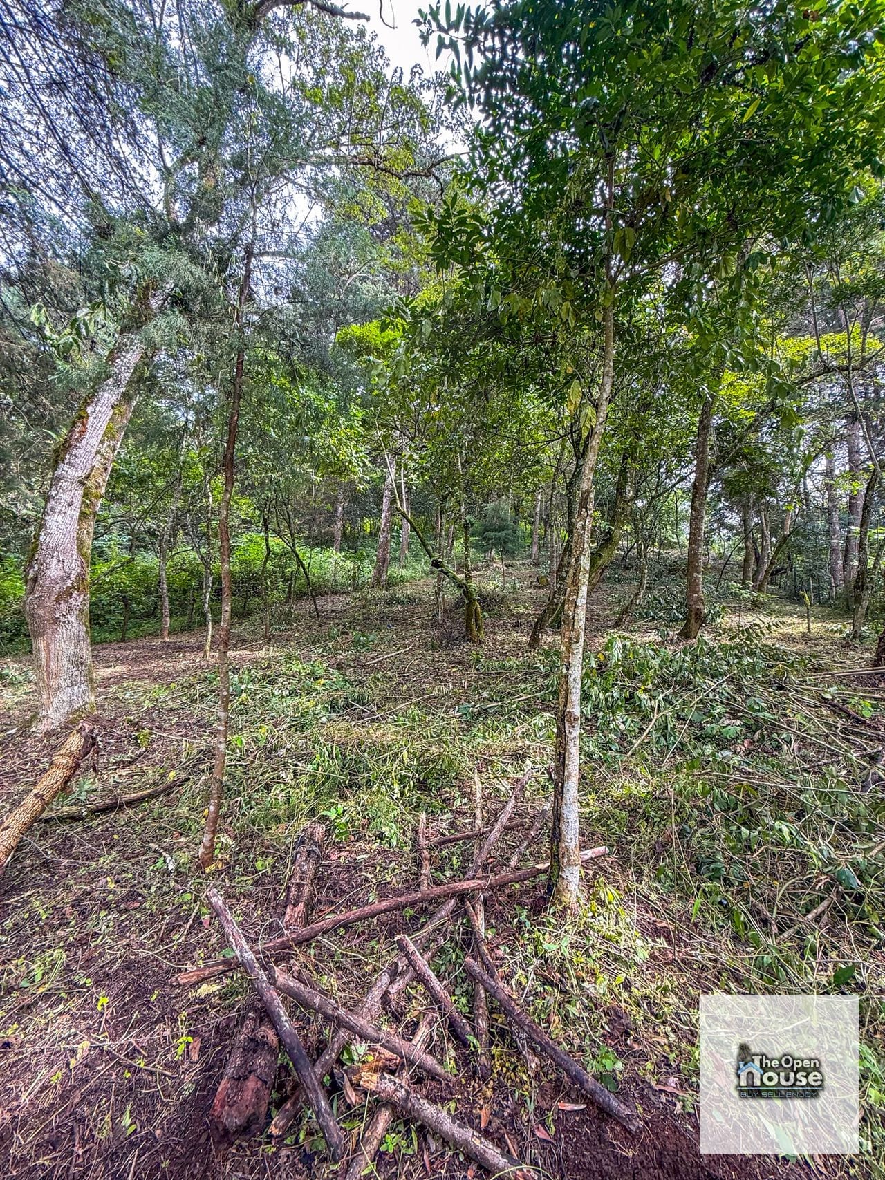 Terreno en Venta – El Platanar, San José Pinula — Terreno en Venta en San José Pinula, Guatemala, Ciudad — foto 6 de 15