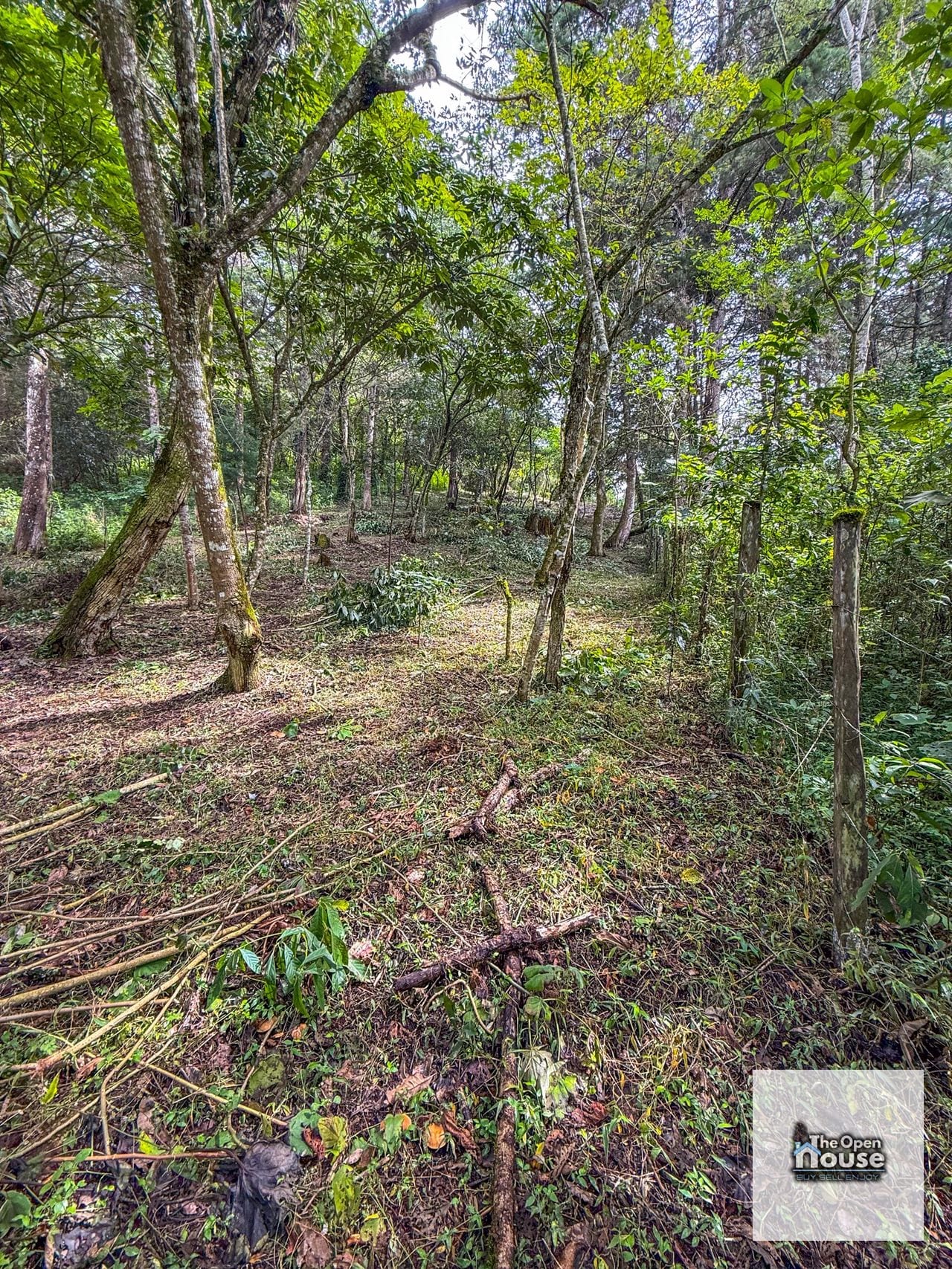 Terreno en Venta – El Platanar, San José Pinula — Terreno en Venta en San José Pinula, Guatemala, Ciudad — foto 7 de 15