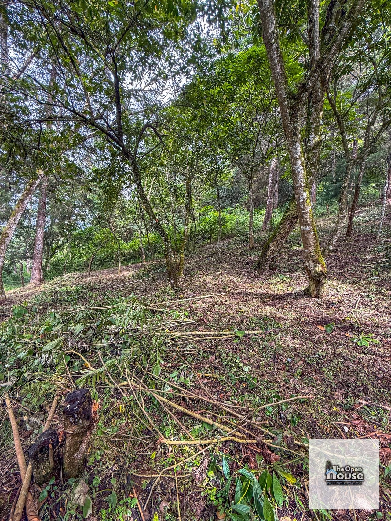 Terreno en Venta – El Platanar, San José Pinula — Terreno en Venta en San José Pinula, Guatemala, Ciudad — foto 8 de 15