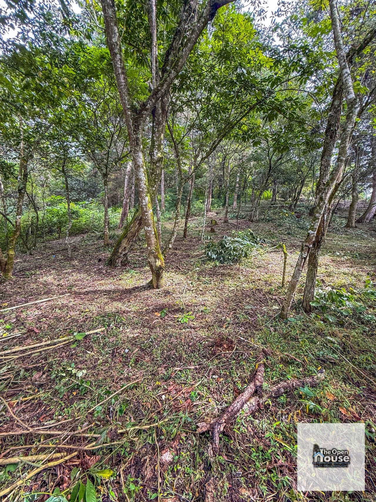 Terreno en Venta – El Platanar, San José Pinula — Terreno en Venta en San José Pinula, Guatemala, Ciudad — foto 9 de 15