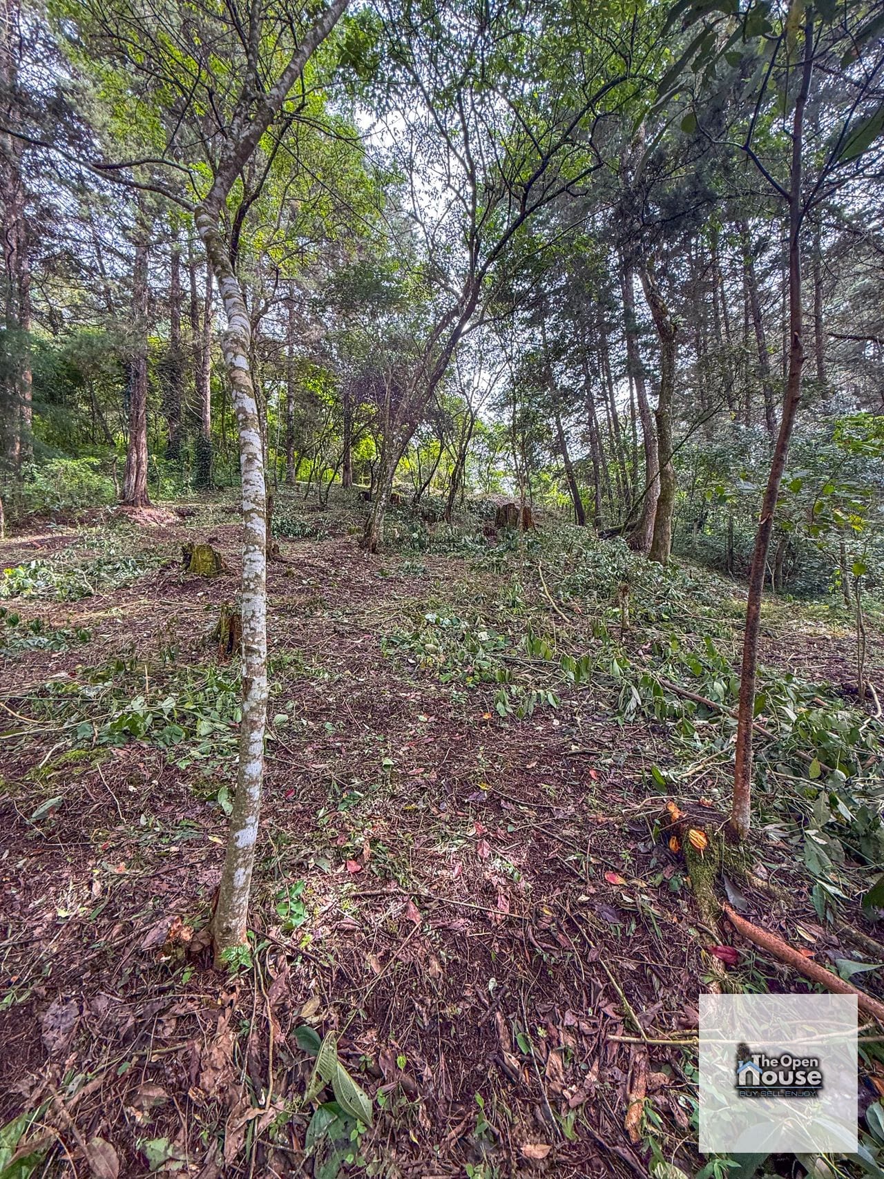 Terreno en Venta – El Platanar, San José Pinula — Terreno en Venta en San José Pinula, Guatemala, Ciudad — foto 10 de 15