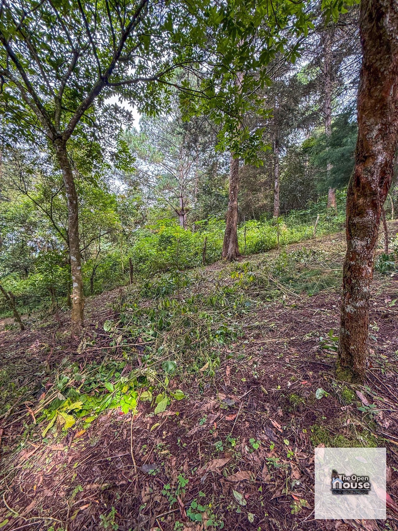 Terreno en Venta – El Platanar, San José Pinula — Terreno en Venta en San José Pinula, Guatemala, Ciudad — foto 11 de 15