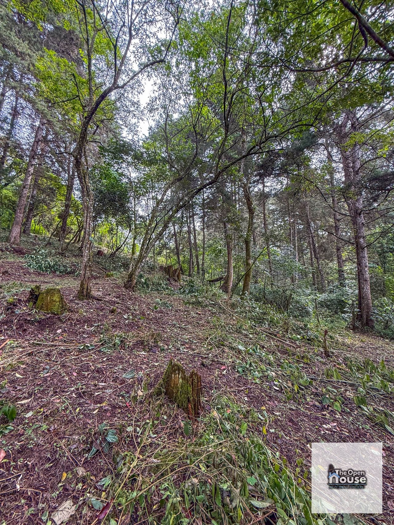 Terreno en Venta – El Platanar, San José Pinula — Terreno en Venta en San José Pinula, Guatemala, Ciudad — foto 12 de 15