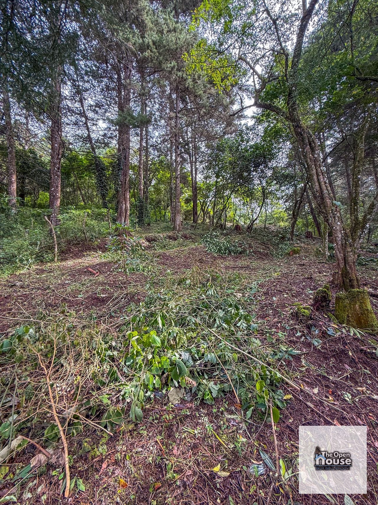 Terreno en Venta – El Platanar, San José Pinula — Terreno en Venta en San José Pinula, Guatemala, Ciudad — foto 13 de 15