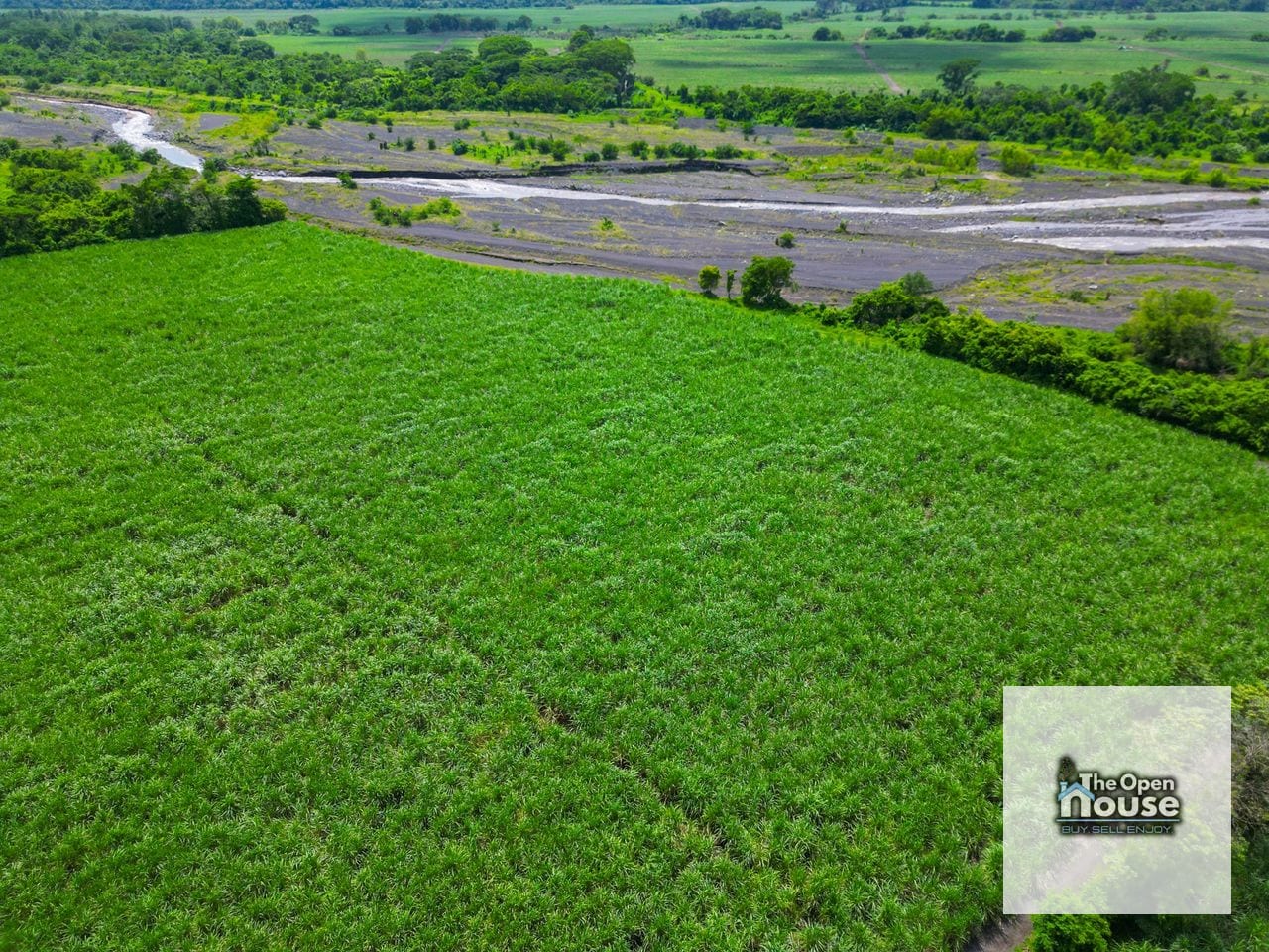 Finca Productiva en Venta Aldea - El Cajon Santa Lucia Cotzumalguapa — Finca en Venta en Santa Lucía Cotzumalguapa, Escuintla — foto 19 de 34