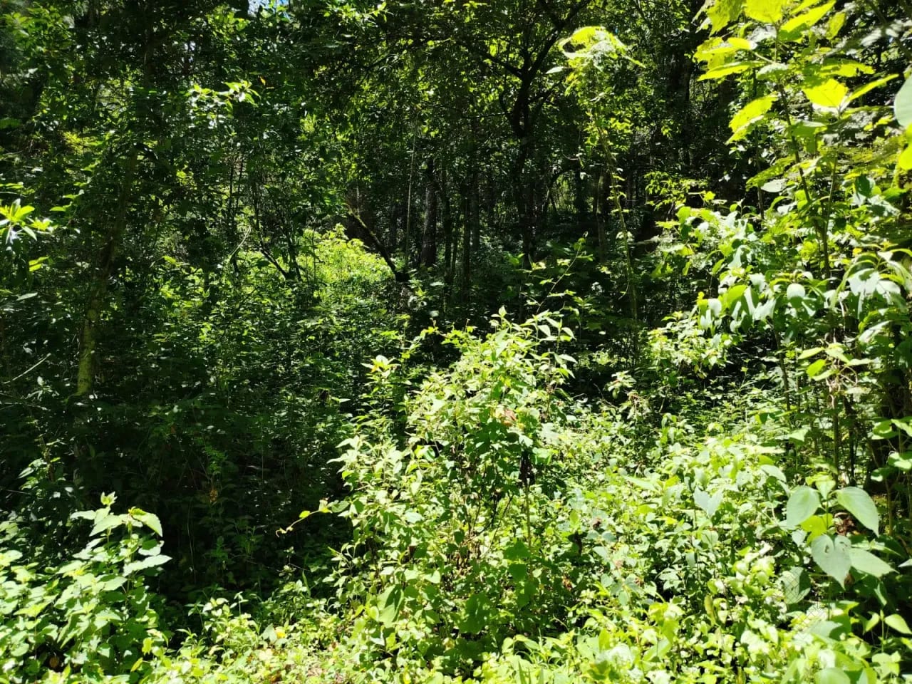 VENDO TERRENO EN ALDEA EL PLATANAR SAN JOSE PINULA, A LA PAR DEL COLEGIO DE AGRONOMÍA ITPA — Terreno en Venta en San José Pinula, Guatemala, Ciudad — foto 2 de 3