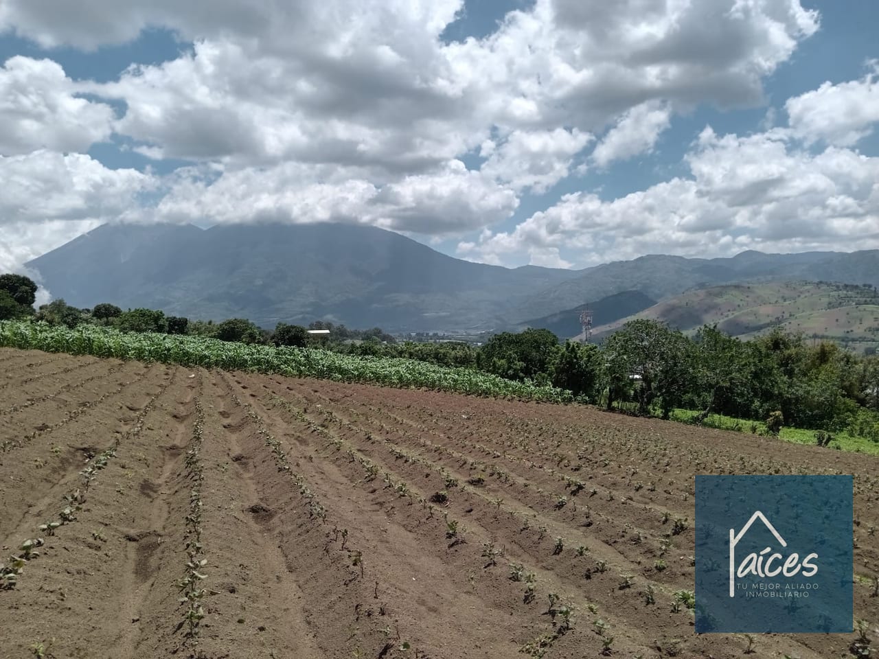 Terreno en venta Ciudad Vieja (*20) — Terreno en Venta en Ciudad Vieja, Sacatepéquez — foto 8 de 14