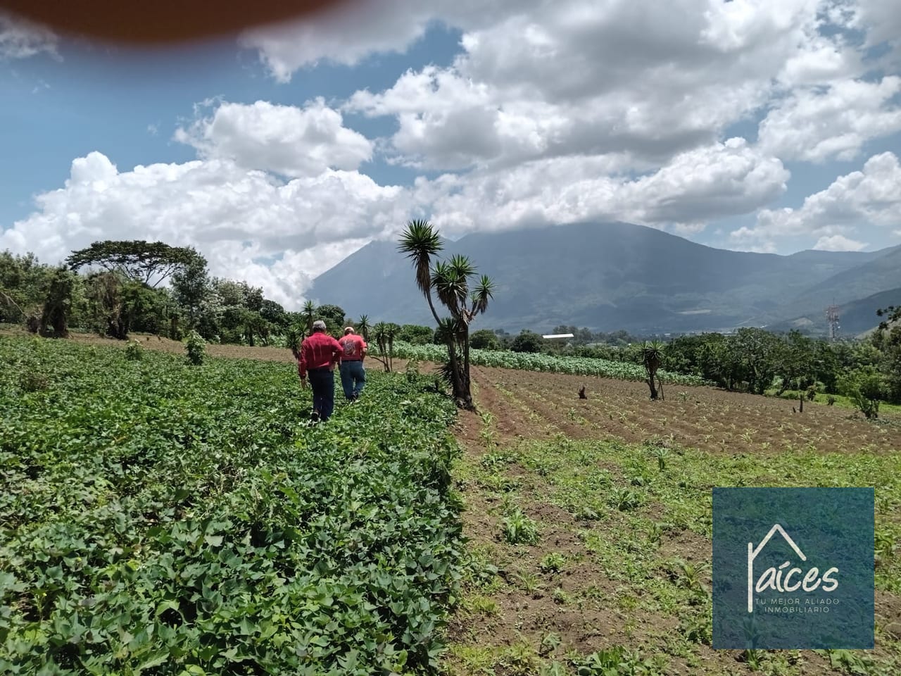 Terreno en venta Ciudad Vieja (*20) — Terreno en Venta en Ciudad Vieja, Sacatepéquez — foto 5 de 14