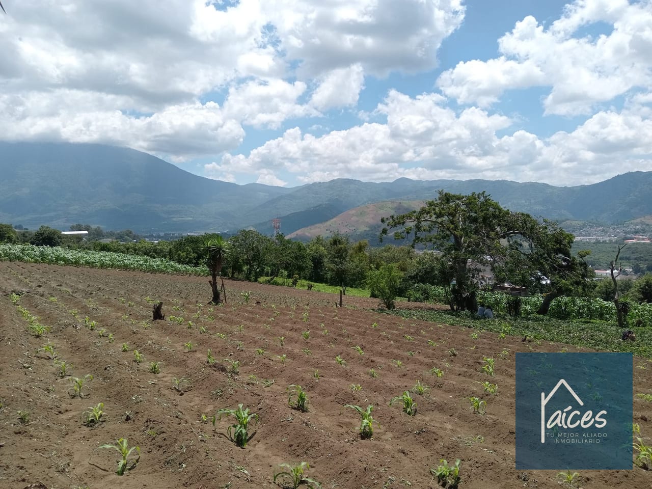 Terreno en venta Ciudad Vieja (*20) — Terreno en Venta en Ciudad Vieja, Sacatepéquez — foto 13 de 14