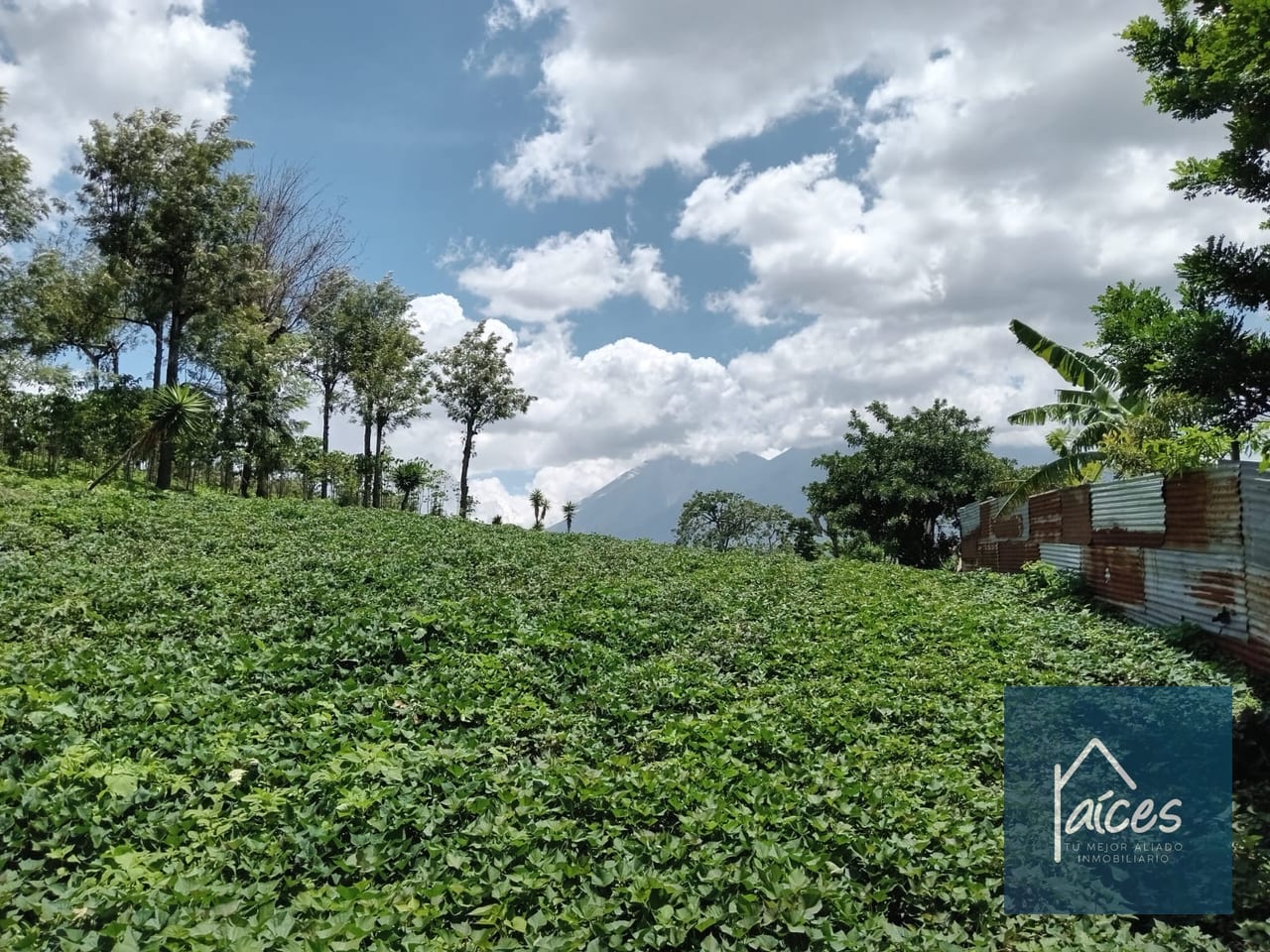 Terreno en venta Ciudad Vieja (*20) — Terreno en Venta en Ciudad Vieja, Sacatepéquez — foto 10 de 14