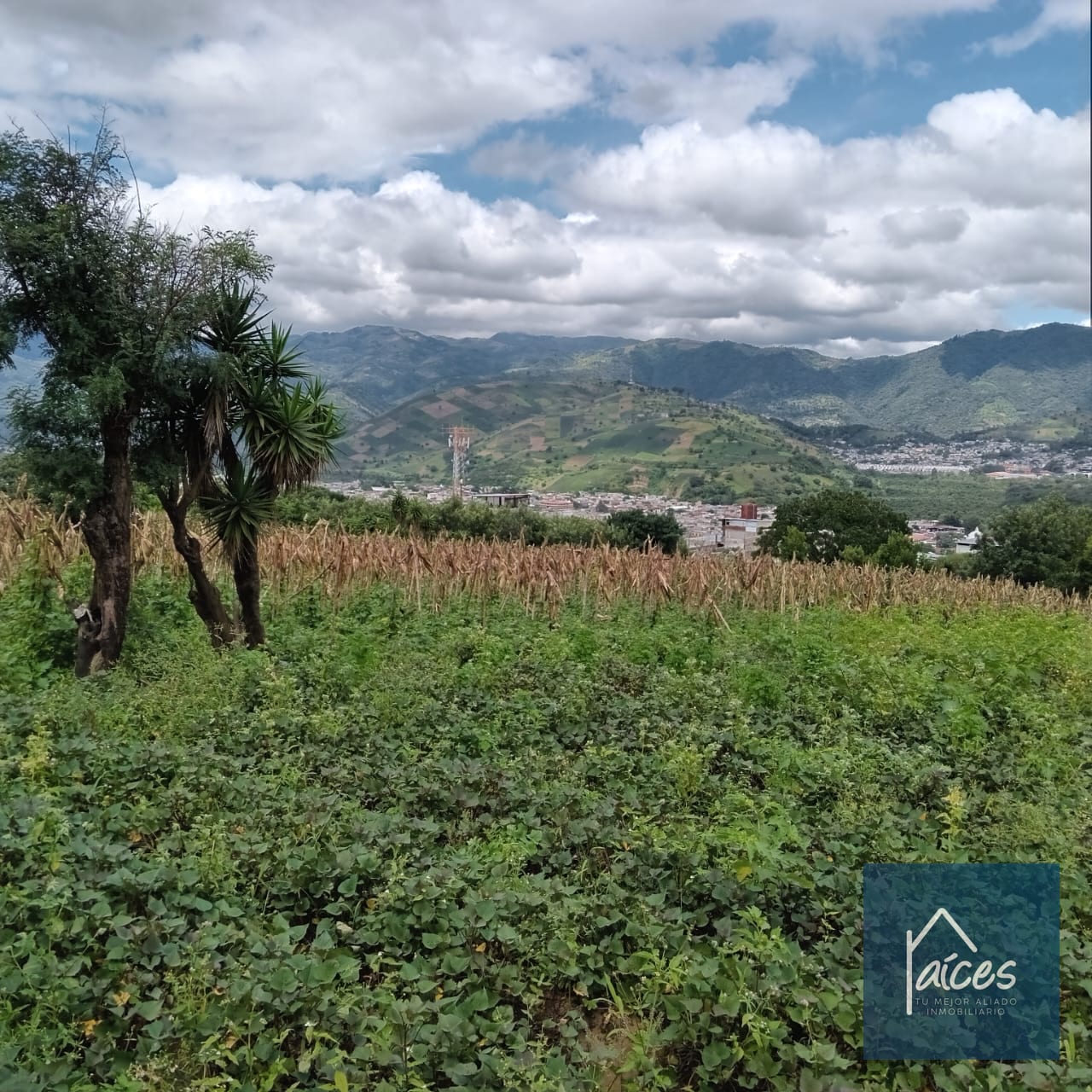 Terreno en venta Ciudad Vieja (*20) — Terreno en Venta en Ciudad Vieja, Sacatepéquez — foto 11 de 14
