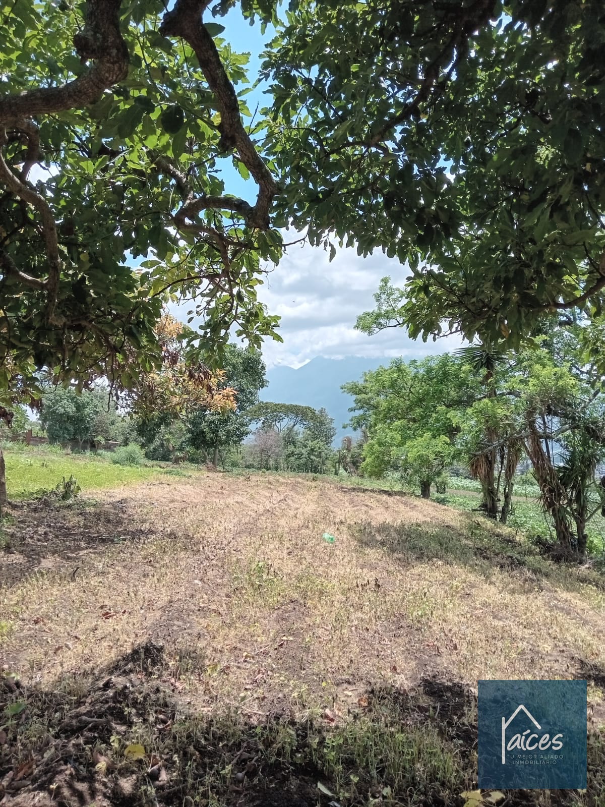 Terreno en venta, Ciudad Vieja - (20*) — Terreno en Venta en Ciudad Vieja, Sacatepéquez — foto 3 de 3