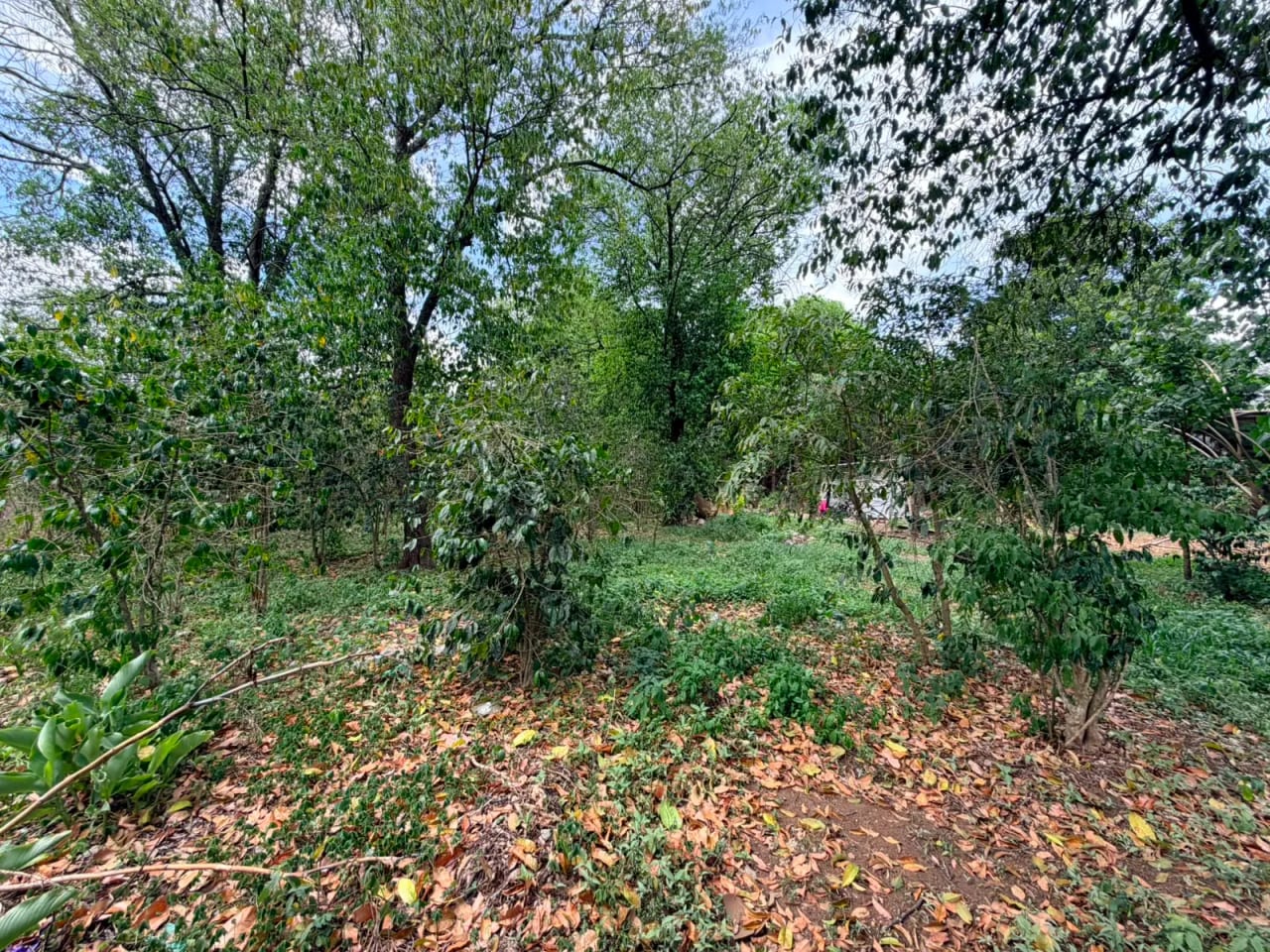 Terreno en Venta en Jocotenango, Frontera con Antigua Guatemala — Terreno en Venta en Jocotenango, Sacatepéquez — foto 3 de 5
