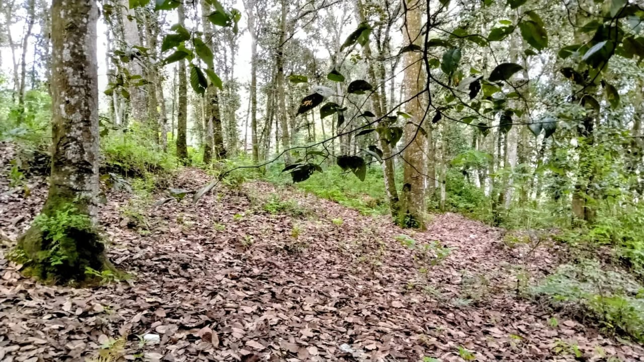 Terreno a la Venta en Villa Montana, San Lucas Sacatepéquez — Terreno en Venta en San Lucas Sacatepéquez, Sacatepéquez — foto 3 de 5