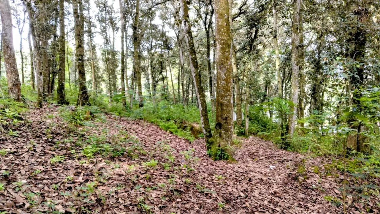 Terreno a la Venta en Villa Montana, San Lucas Sacatepéquez — Terreno en Venta en San Lucas Sacatepéquez, Sacatepéquez — foto 4 de 5
